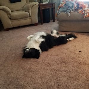 Meet your Posher, Josh